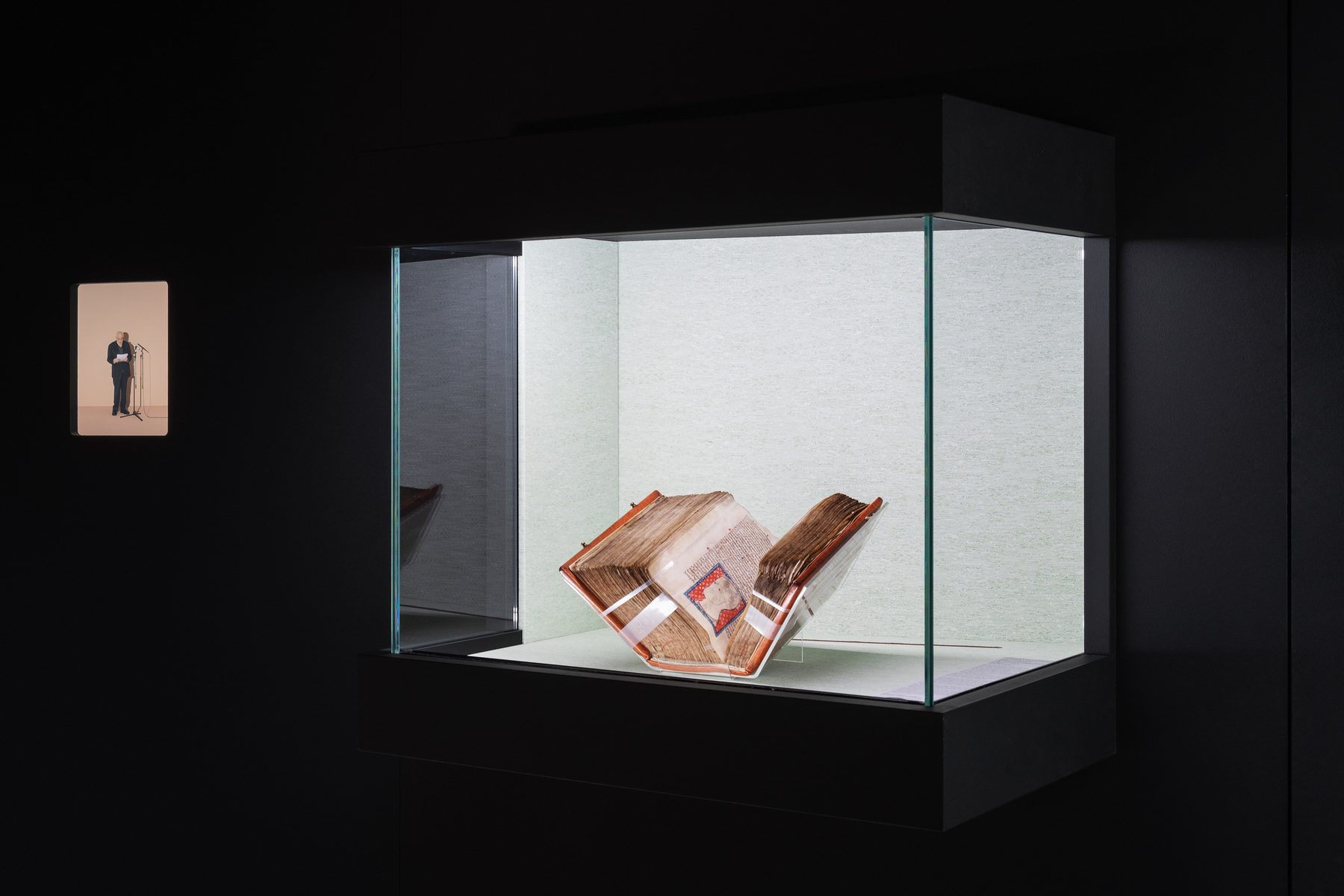 Human Brains exhibition installation view