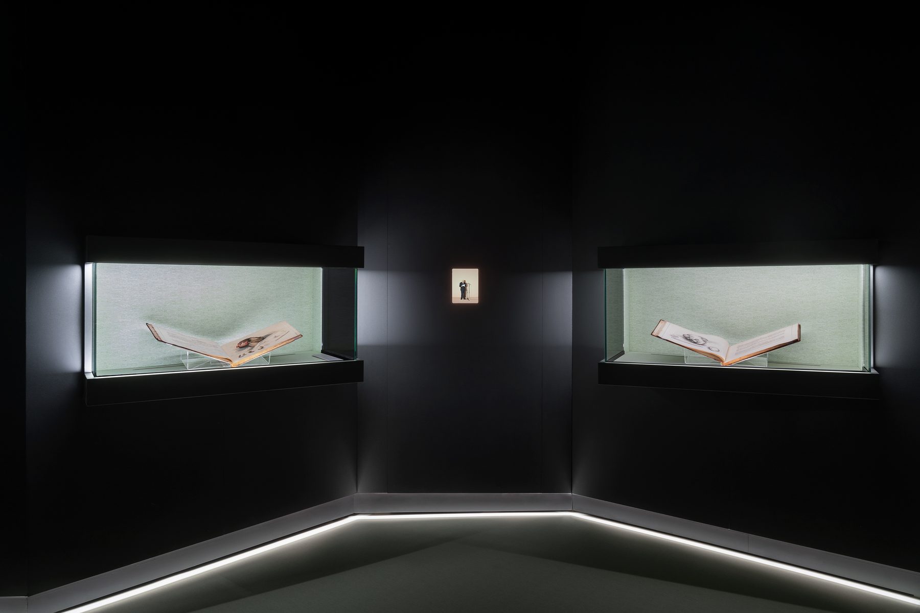 Human Brains exhibition installation view