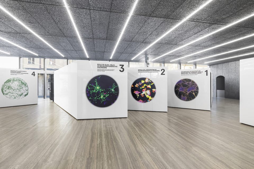 Preserving the Brain exhibition, Fondazione Prada Milan