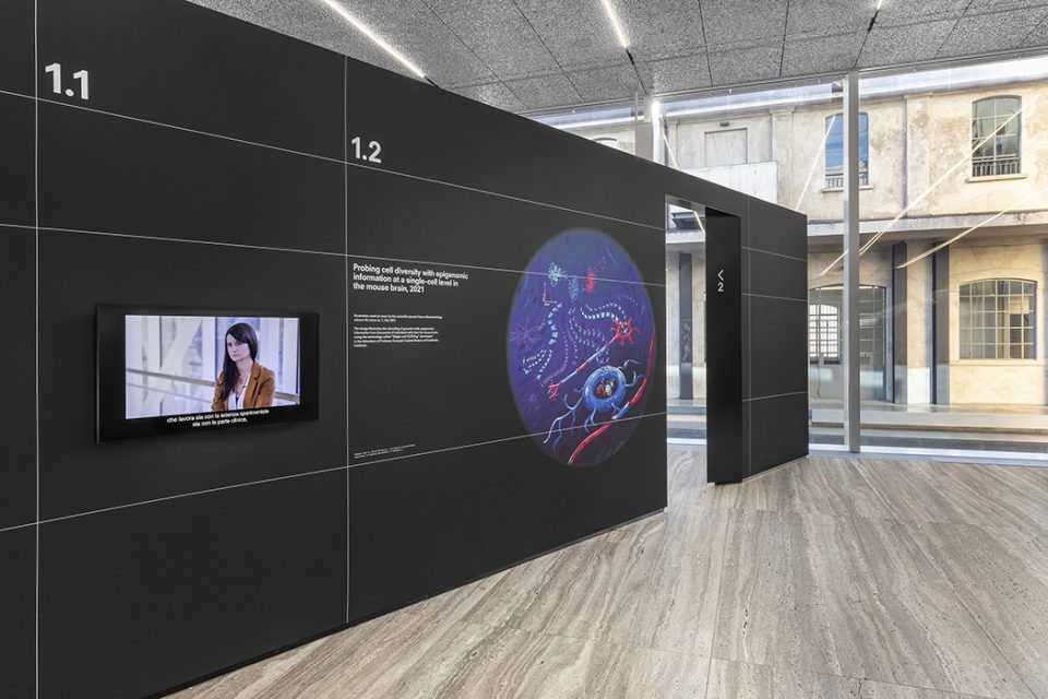 Preserving the Brain exhibition, Fondazione Prada Milan