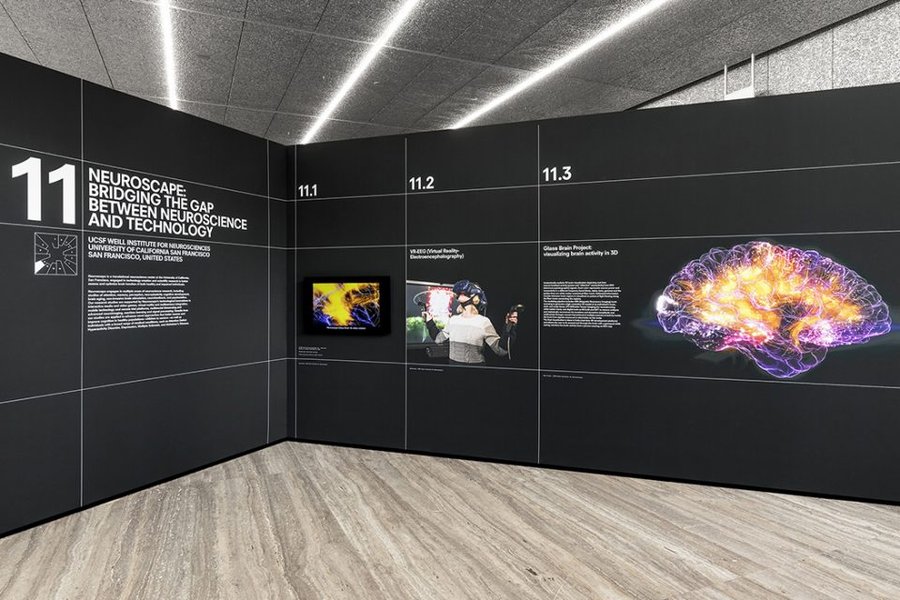 Preserving the Brain exhibition, Fondazione Prada Milan, Neuroscape section